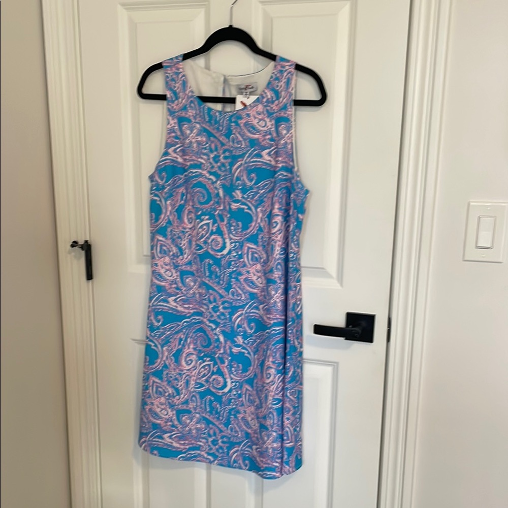Perfectly Priscilla Blue and Pink Paisley Dress